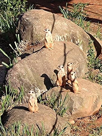 DSC_0061.JPG DSC_0061.JPG