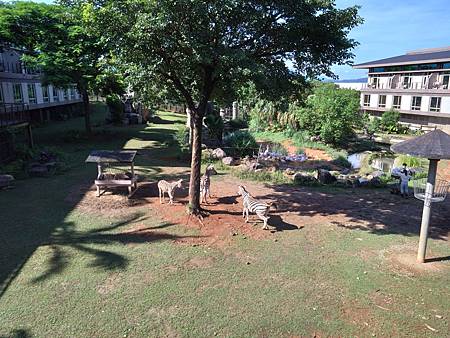 DSC_0065.JPG DSC_0065.JPG