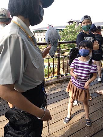 DSC_0070.JPG DSC_0070.JPG