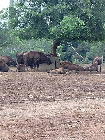 DSC_0080.JPG DSC_0080.JPG