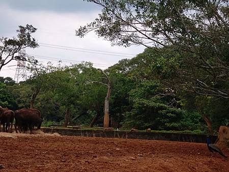 DSC_0081.JPG DSC_0081.JPG