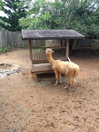 DSC_0095.JPG DSC_0095.JPG