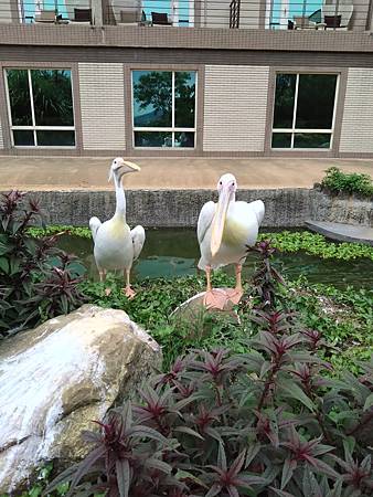 DSC_0096.JPG DSC_0096.JPG