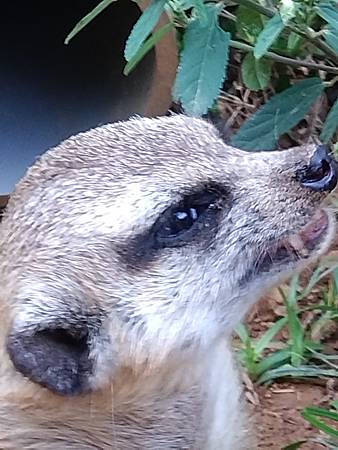 DSC_0114.JPG DSC_0114.JPG