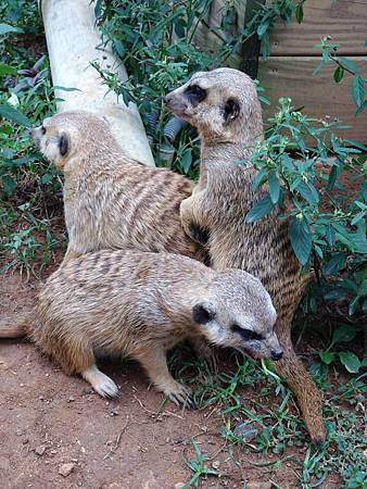 DSC_0113.JPG DSC_0113.JPG