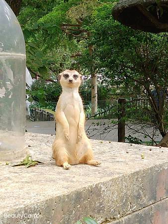 MYXJ_20220805143836001_fast.jpg MYXJ_20220805143836001_fast.jpg