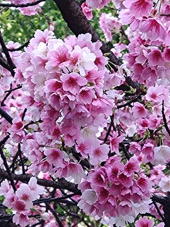 DSC_0206.JPG DSC_0206.JPG