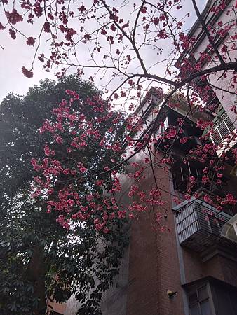 DSC_0211.JPG DSC_0211.JPG