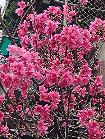 DSC_0236.JPG DSC_0236.JPG