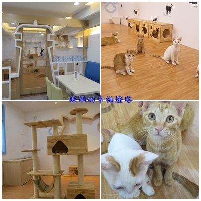 幸福燈塔5.jpg