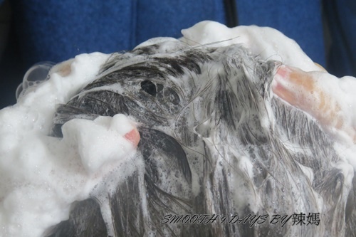 滑9天10.JPG 試用