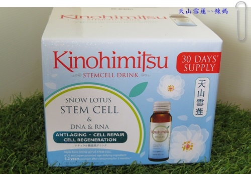 天山雪蓮1.JPG 試用