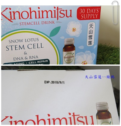 天山雪蓮3.jpg 試用