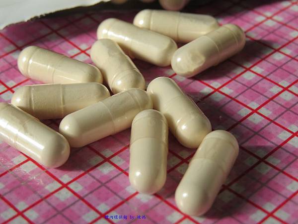 環保麴8.JPG 試用