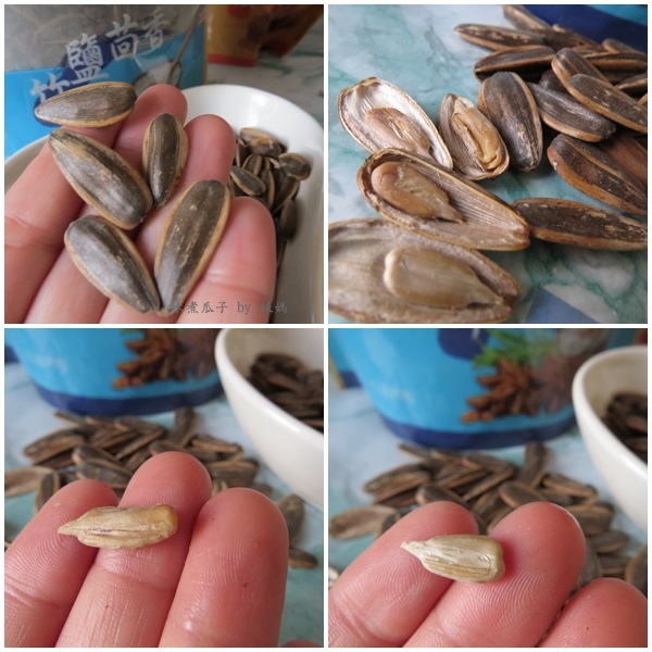 水煮瓜子16.jpg 試用