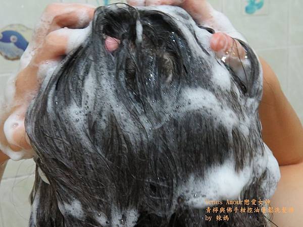 愛戀女神9.JPG 試用