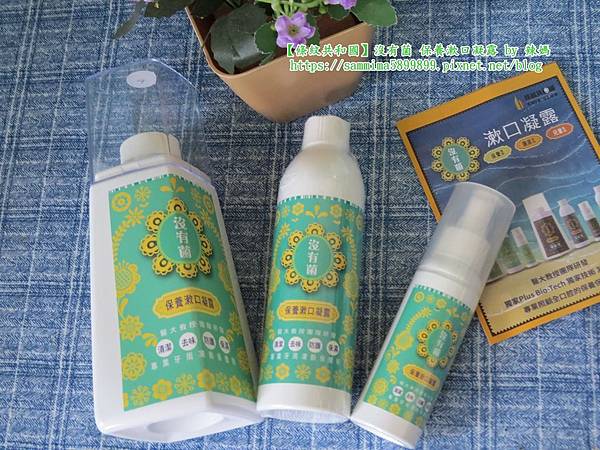 條紋共和國1.JPG 條紋共和國1.JPG