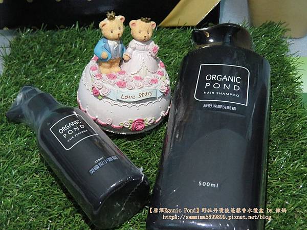 原澤Rganic Pond7.JPG