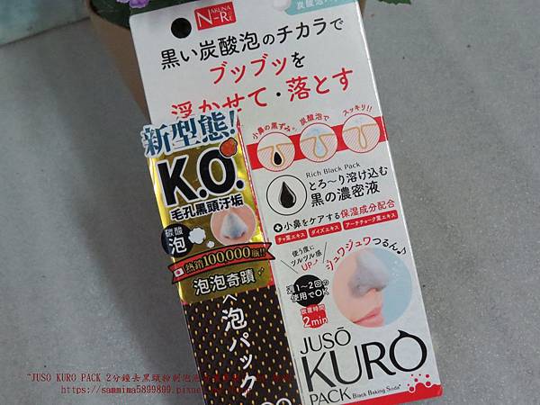 鼻膜1.JPG 試用
