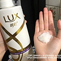 LUX13.jpg
