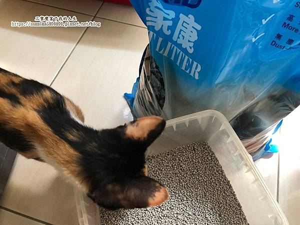 家康貓砂11.jpg