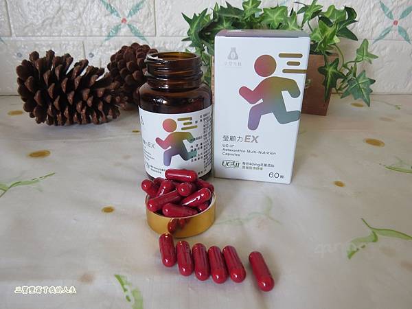 瑩顧力9.JPG 瑩顧力9.JPG