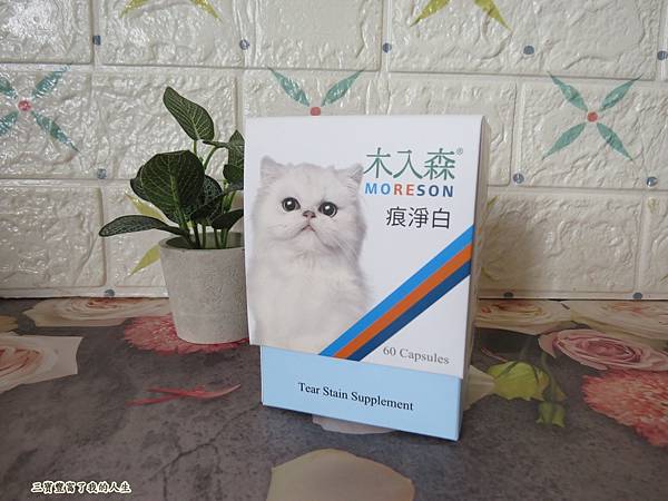 木入森.JPG