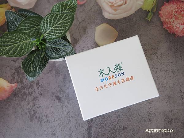 木入森1.JPG