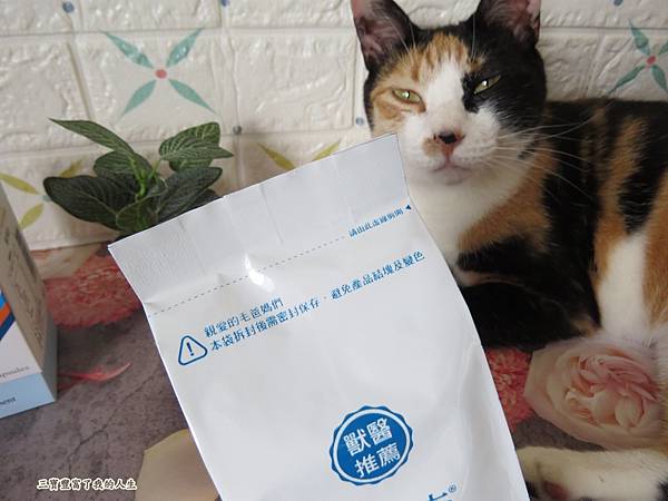 木入森11.JPG