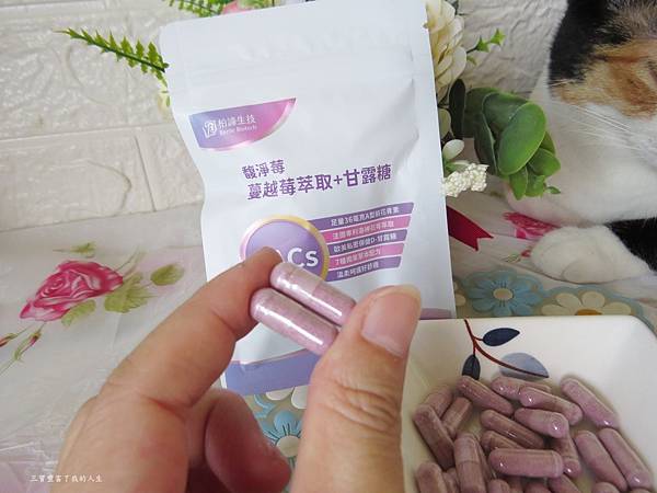 馥淨莓10.JPG