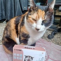 亮毛粉14.jpg