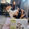 護眼粉13.jpg