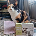 護眼粉12.jpg