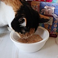 虎嚕主食餐包17.JPG