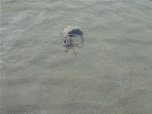 20070605-8i_104.jpg