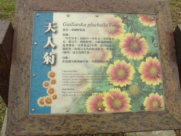 20070605-8i_220.jpg