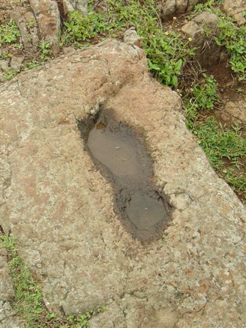 20070605-8i_221.jpg