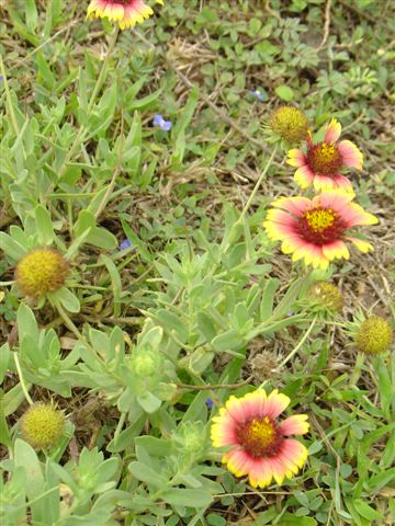 20070605-8i_223.jpg