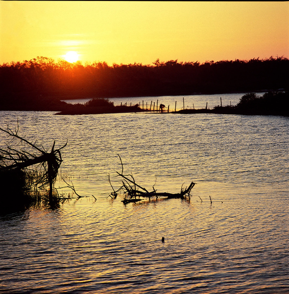 09-0001-08-東石-鰲鼓溼地.jpg