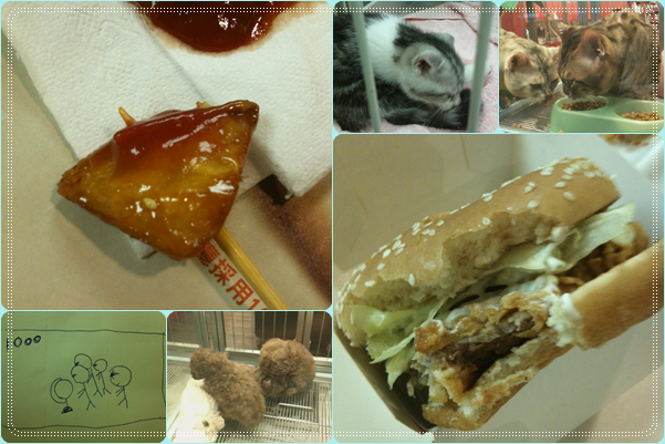 [逛] 臨江夜市 + McDonalds 2009/11/12