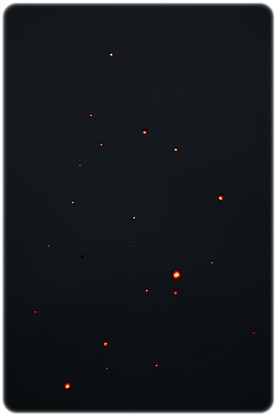 20100306c_315.JPG