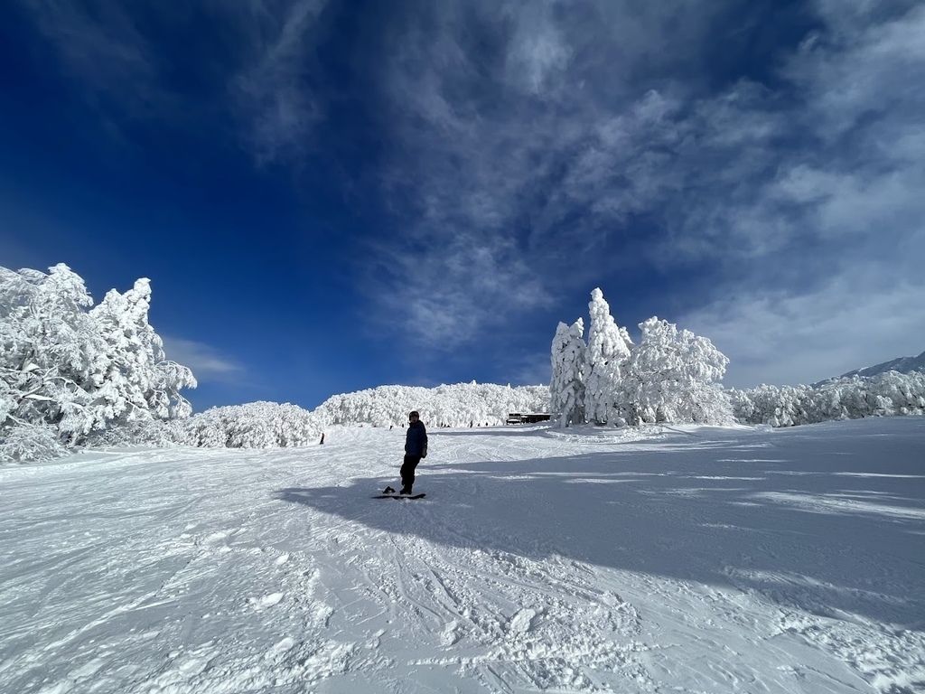 初學滑雪 藏王滑雪團 注意事項 雪地心得分享 哈哈戰隊