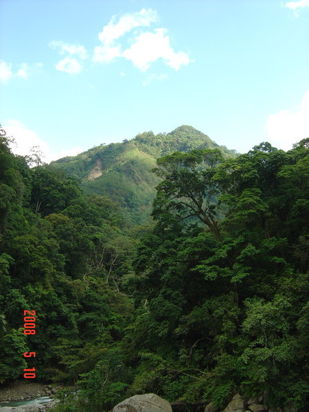 遠山景