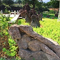 IMG_9501.JPG