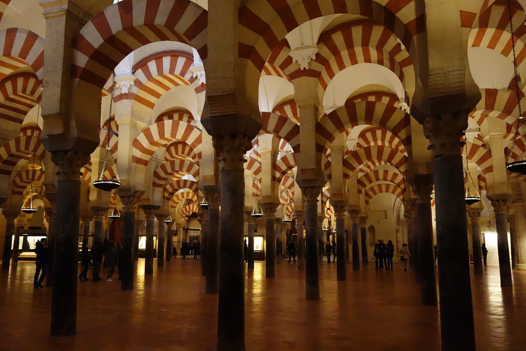 DSC04905.JPG DSC04905.JPG