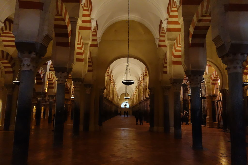 DSC04904.JPG DSC04904.JPG