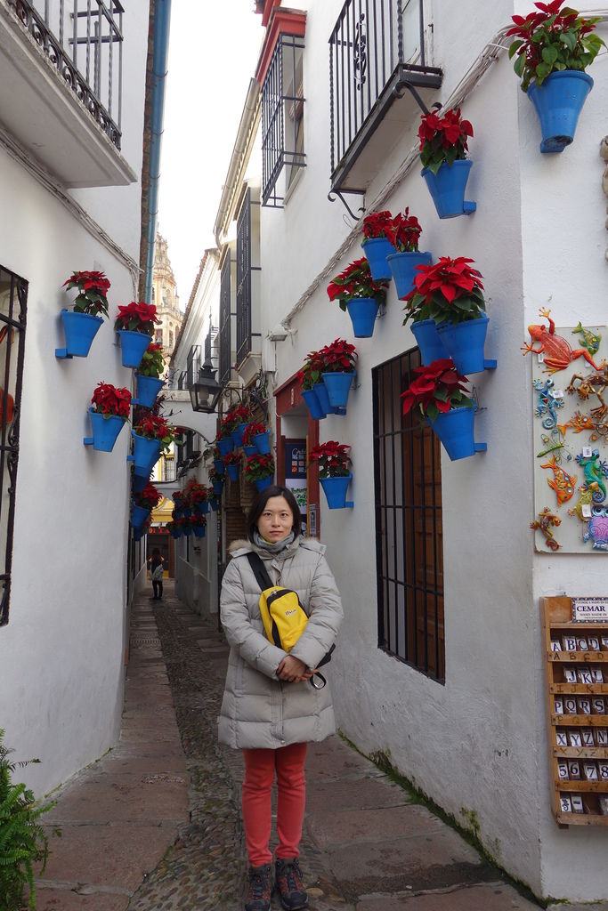 DSC04972.JPG DSC04972.JPG