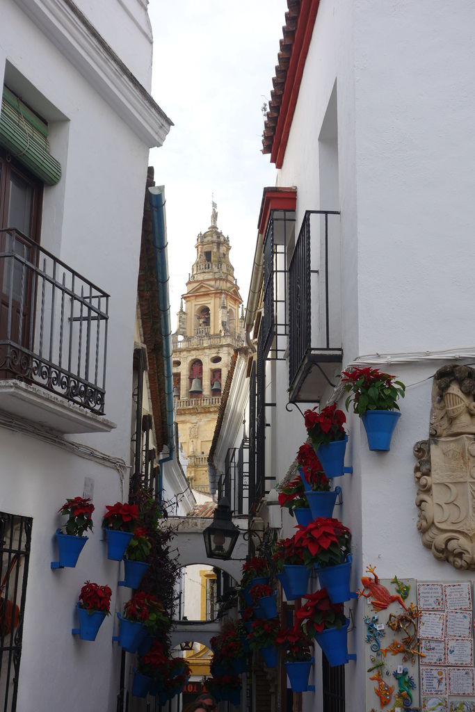 DSC04976.JPG DSC04976.JPG