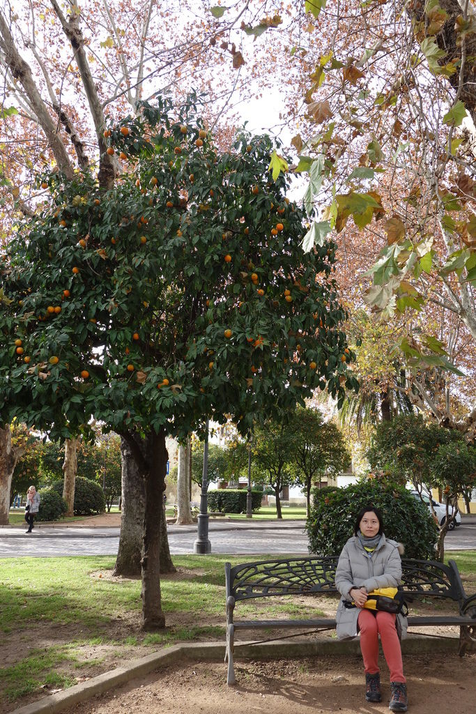 DSC04985.JPG DSC04985.JPG