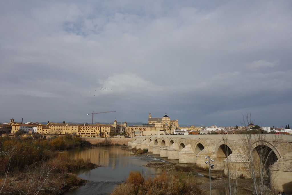 DSC05003.JPG DSC05003.JPG